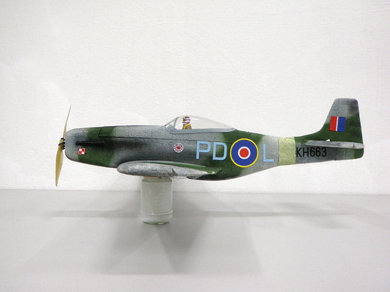 P 51 D Mustang (Mk IV)